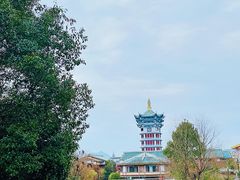 -江西龙虎山景区