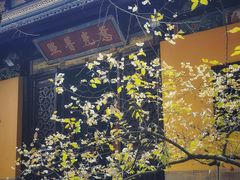 -西园戒幢律寺