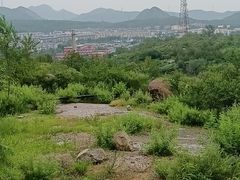 -白水寺森林公园
