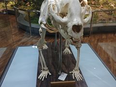 -陕西自然博物馆