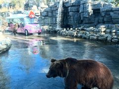 -北京野生动物园