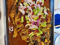 -鱼酷活鱼烤鱼(沈阳大悦城店)