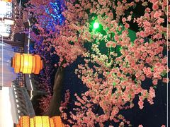 -荷塘秋月·本帮江浙菜(国权路店)