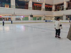 -炫采冰场(红博中央公园商场店)