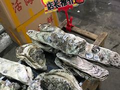 -蚝专家(北滘店)