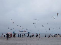 -东港音乐喷泉广场