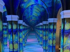 -天津梵高星空艺术馆(天河城旗舰店)