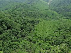 -天女山森林公园