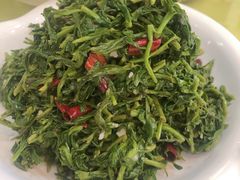 养生枸杞苗-老毛手抓·盐池滩羊非遗手抓(宁夏总店)