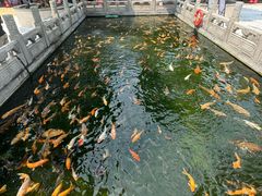 -宝墨园景区