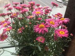 -陶然居·重庆菜(南滨路店)