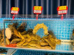 -韩记海鲜饺子旗舰店(红海新区店)