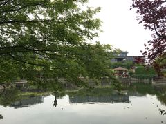 -嘉定紫藤园