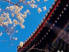 -红螺寺