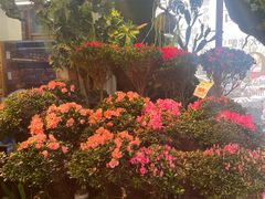 -山东嘉汇文化用品有限公司张店凤凰国际分公司(新村西路店)