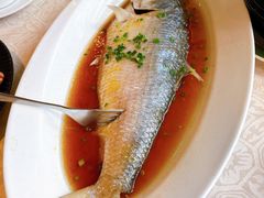 鸡油红汤蒸鲥鱼-喜来登由由大酒店九州膳坊中餐厅