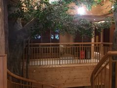 -阿斯牛牛·凉山菜(新会展店)