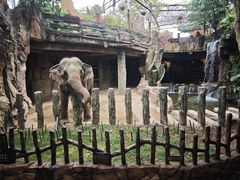 -长鹿旅游休博园