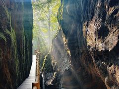 -牛背梁国家森林公园