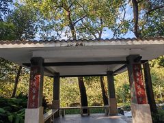 -梧桐山风景名胜区