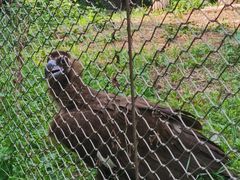 -北京动物园-畅观楼