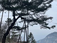 -庐山风景名胜区