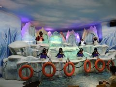 -帝企鹅自助餐厅•儿童岛•真企鹅(长隆企鹅酒店)