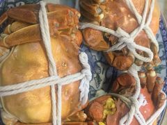 -呼吸森林·生态农庄农家乐私房菜