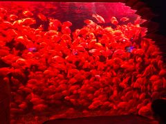 -太平洋海底世界