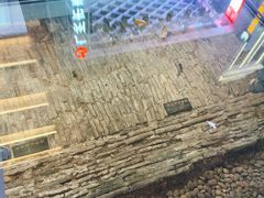 -北京路步行街-千年古道遗址