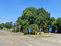 -胜华驾校·小猫学车(银都店)