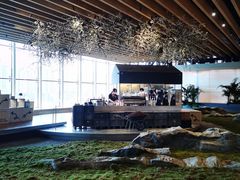 -Seesaw Coffee(朝阳大悦城店)