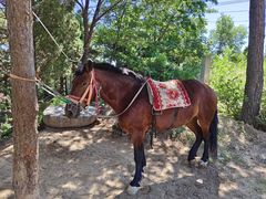 -天津盘山风景名胜区