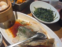 -顺风汤馆·广府粤菜(江宸天街店)