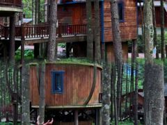 -洛阳白云山景区