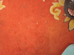 -和乐喜点(宝岗大道店)