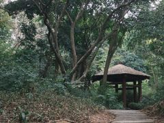 -深圳国际园林花卉博览园