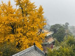 -潭柘寺景区