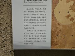 -上海崧泽遗址博物馆