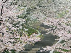 -杭州少年儿童公园