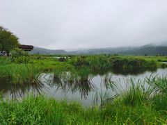 -腾冲北海湿地