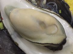 -蚝专家(北滘店)