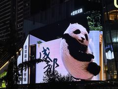 -合景·悠方(成都店)