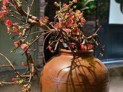 -湊湊火锅·茶憩(恒隆广场店)