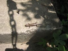 -陕西省红河谷森林公园