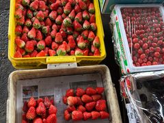 -江杨农产品批发市场