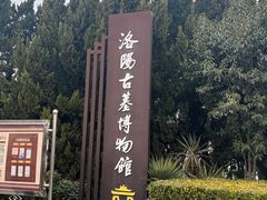 -洛阳古墓博物馆