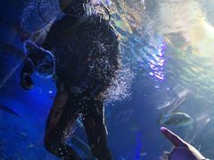 -皇家极地海洋世界-售票处