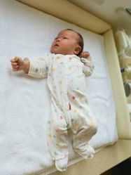 -海豚湾高端月子会所(黄浦店)