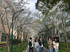 -上海财经大学(国定路校区)